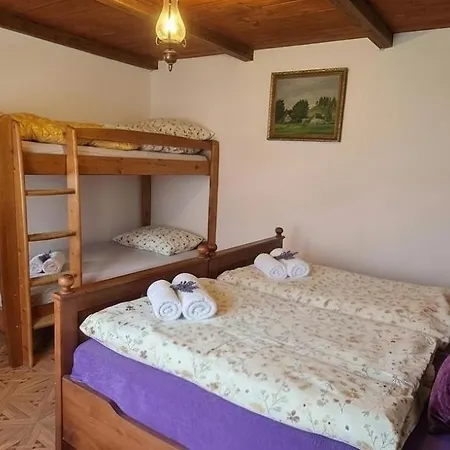 Stateček Plný Zvířátek Alloggio per agriturismo Zlebske Chvalovice